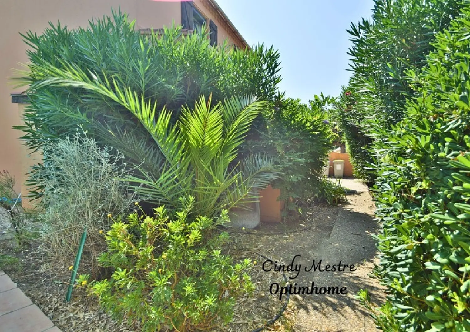  à vendre maison Saint-Cyprien Pyrénées-Orientales 3