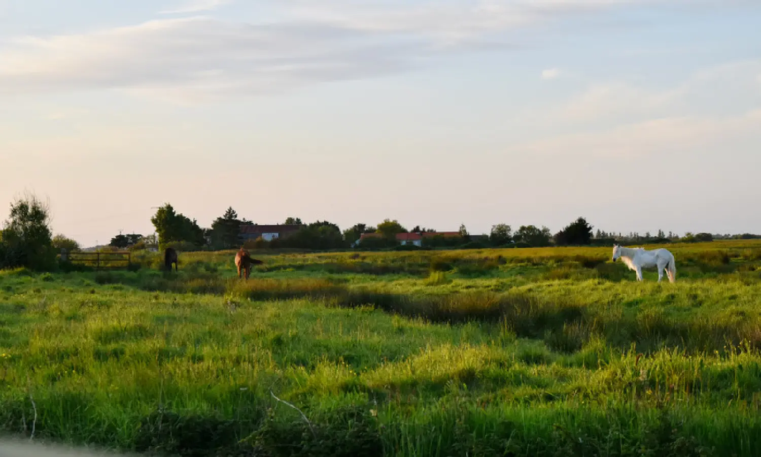  en venta casa Saint-Gervais Vendée 3