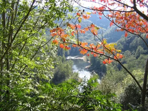 te koop huis Golinhac Aveyron 8