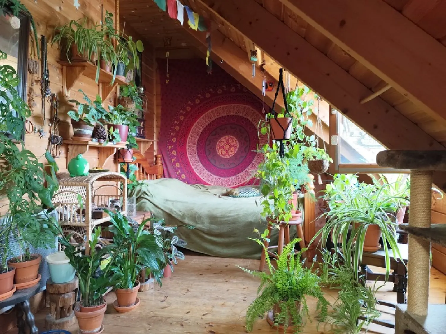  kaufen Haus Saint-Jacut-les-Pins Morbihan 7
