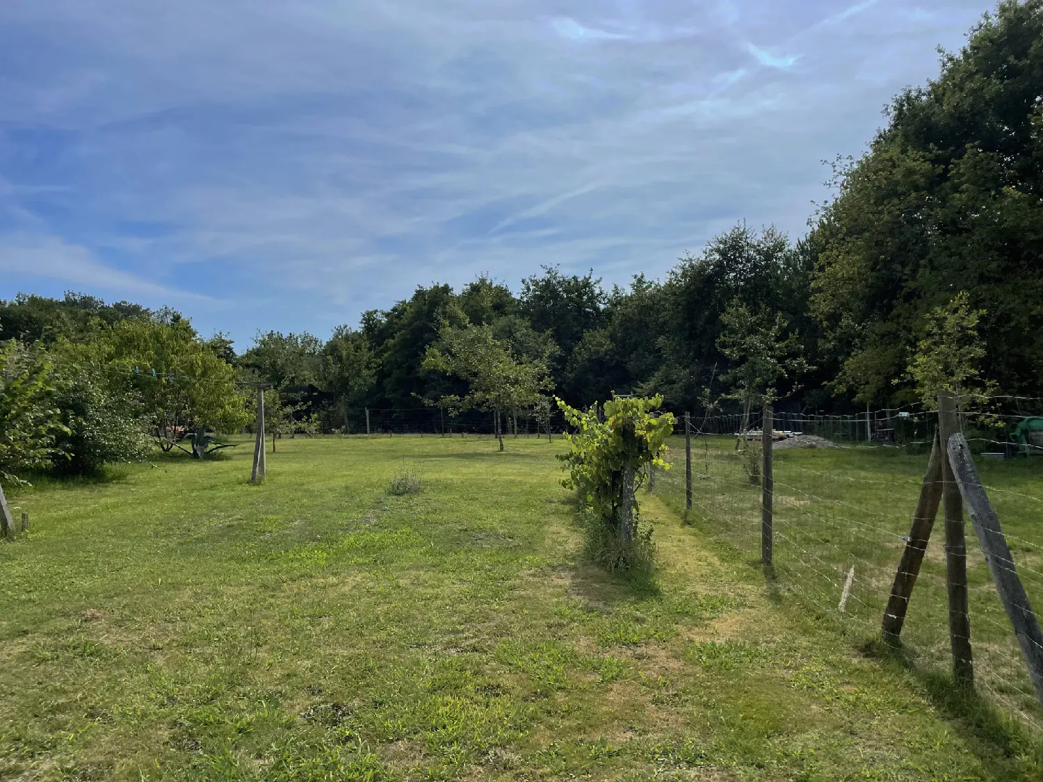  en venta casa Saint-Jean-de-Marsacq Landes 5
