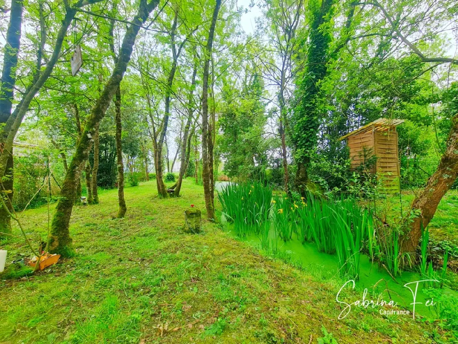  te koop huis Saint-Laurent-de-la-Prée Charente-Maritime 5