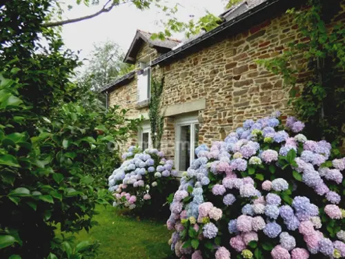 Saint-Nicolas-de-Redon Loire-Atlantique huis foto 7121890