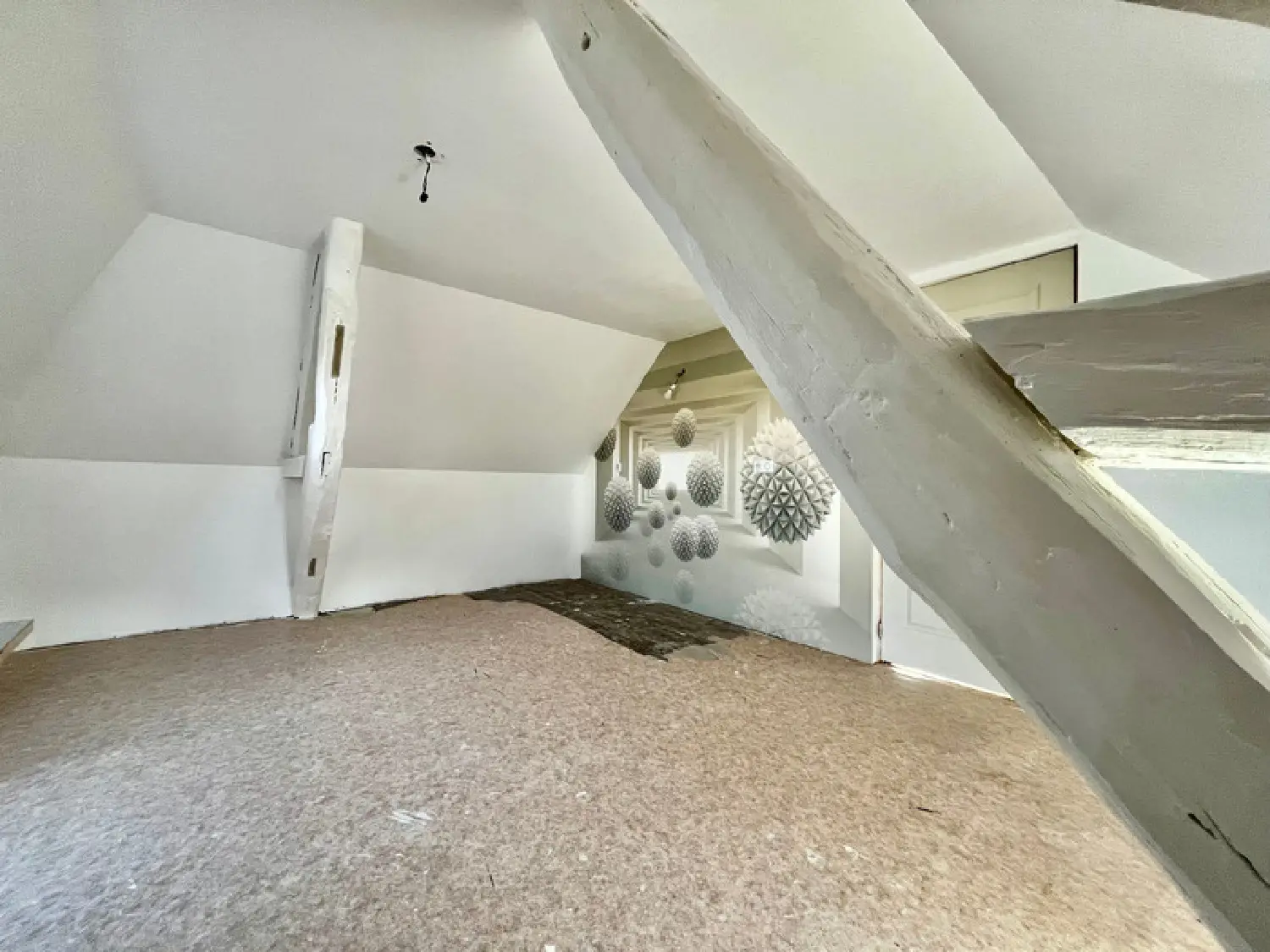  for sale house Saint-Pierre-la-Noaille Loire 8