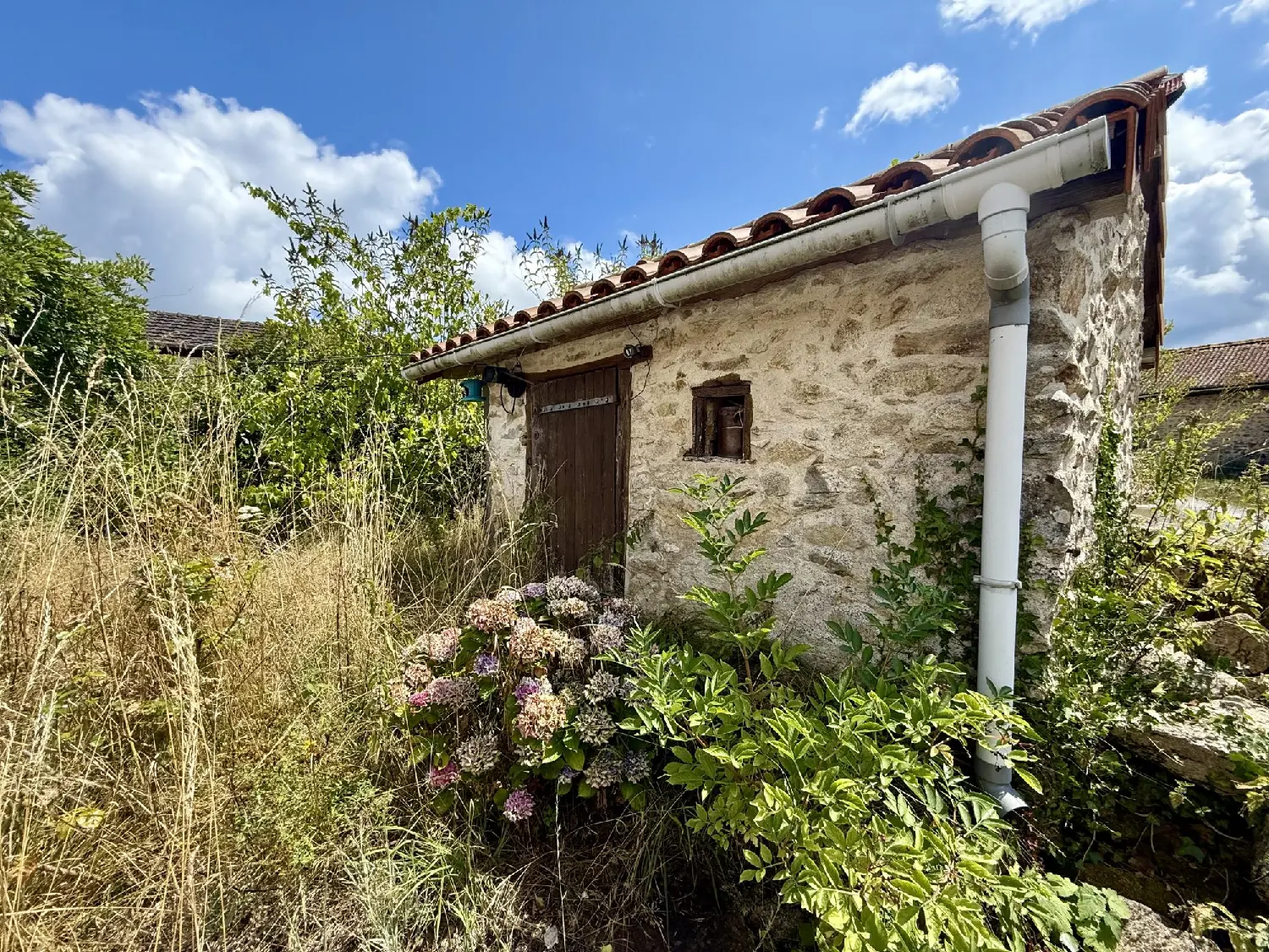  te koop huis Saint-Pierre-de-Frugie Dordogne 4