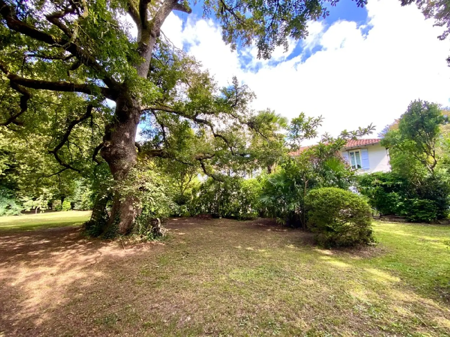  à vendre maison Saint-Pierre-du-Mont Landes 4
