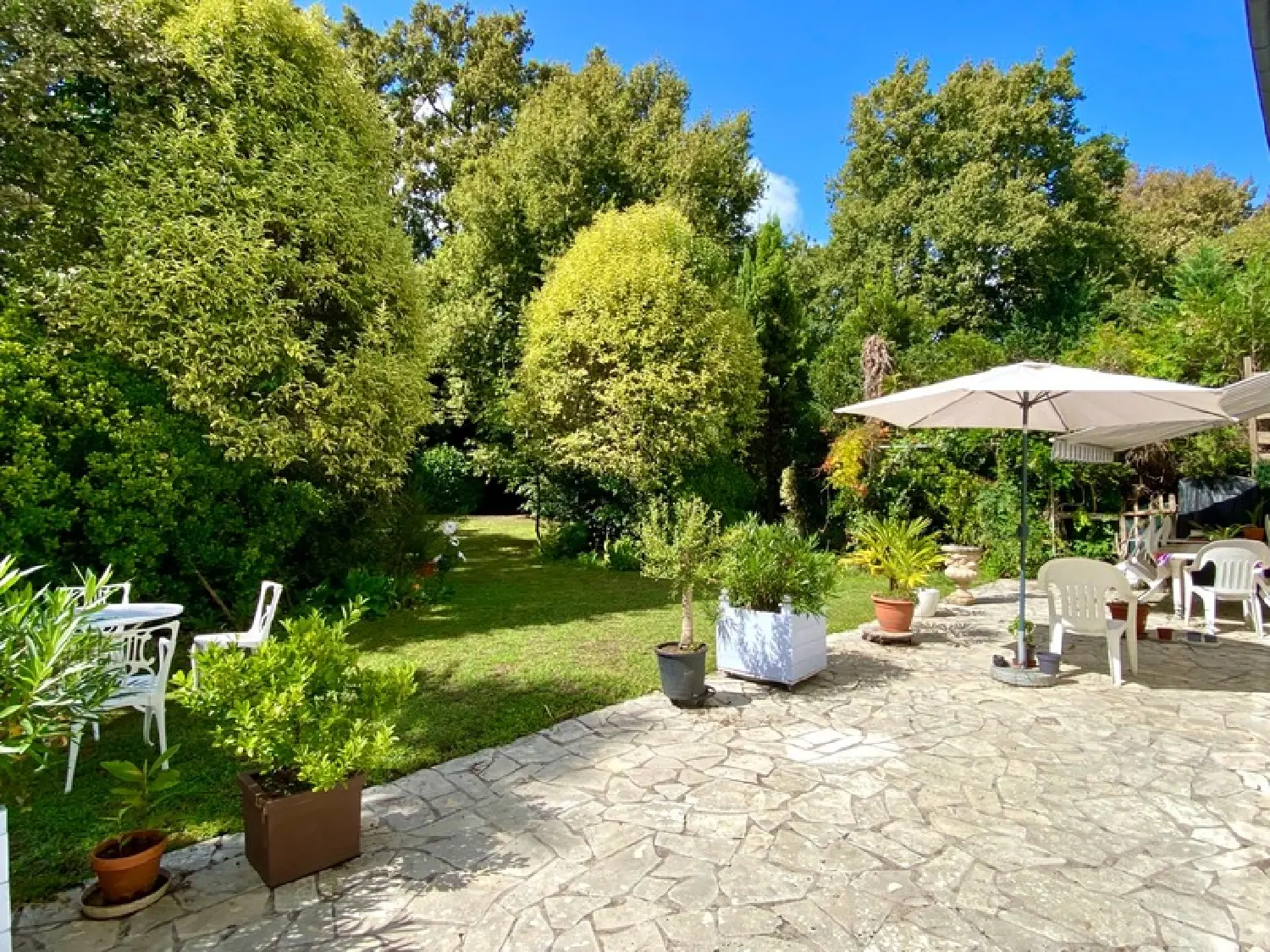  à vendre maison Saint-Pierre-du-Mont Landes 6