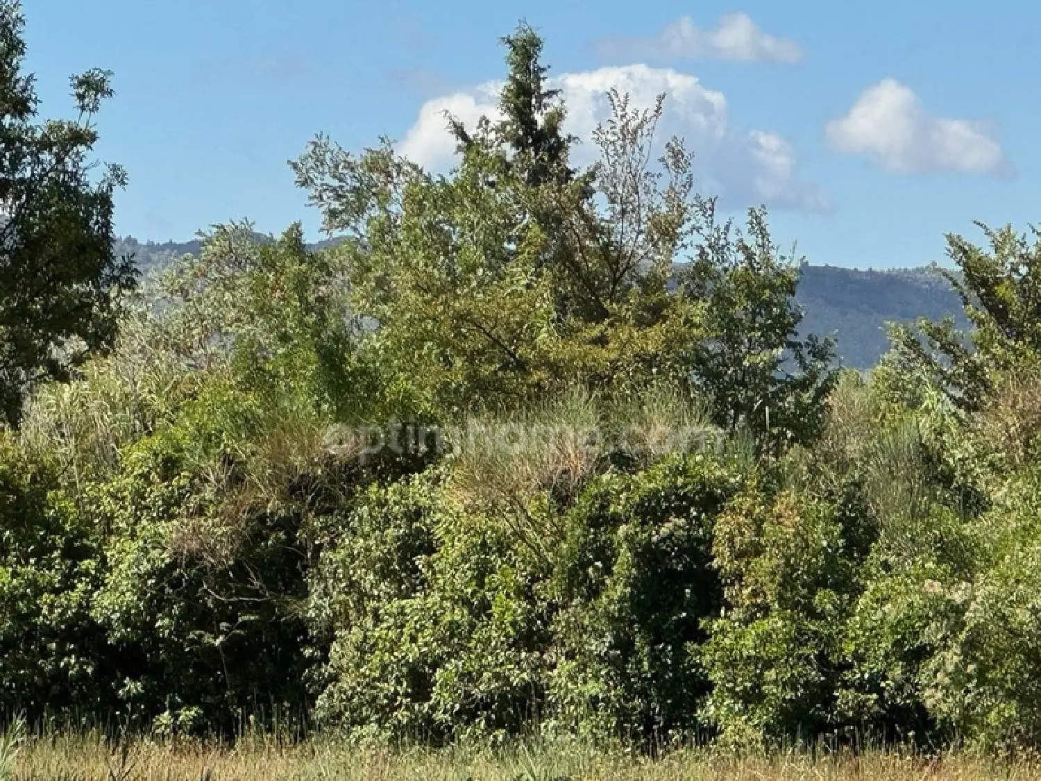 en venta casa Saint-Rémy-de-Provence Bocas del Ródano 3