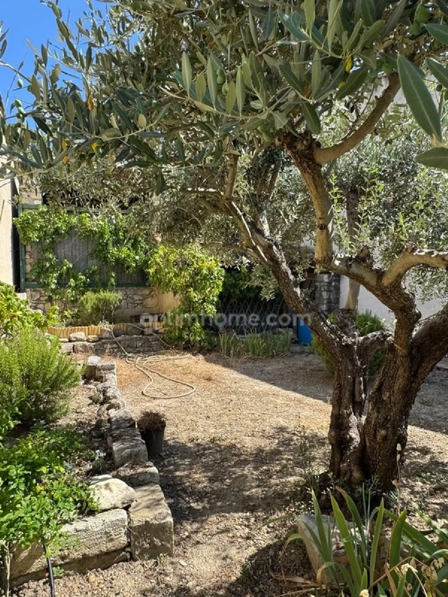 te koop huis Saint-Rémy-de-Provence Bouches-du-Rhône 3