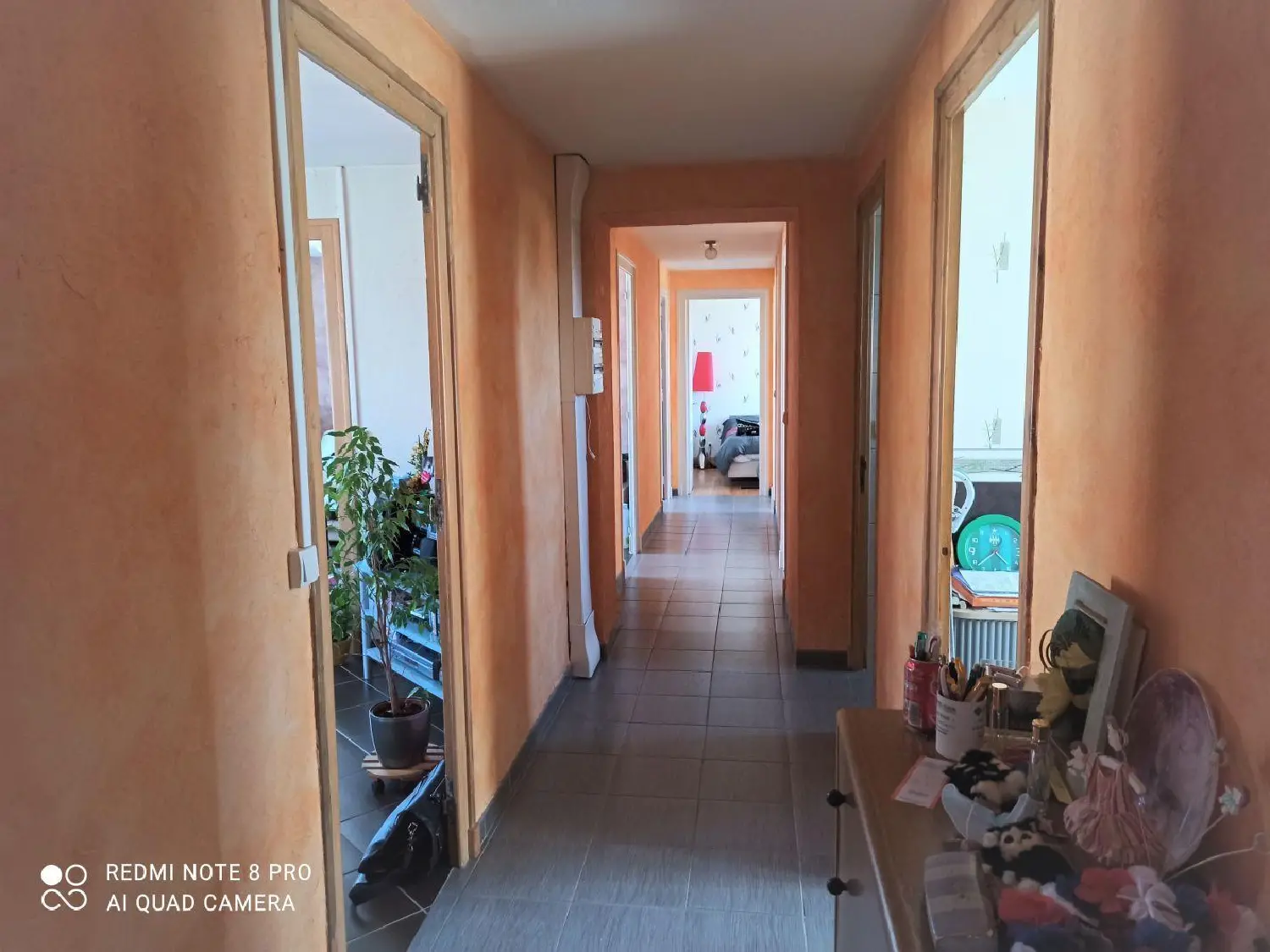 te koop huis Sainte-Sigolène Haute-Loire 3