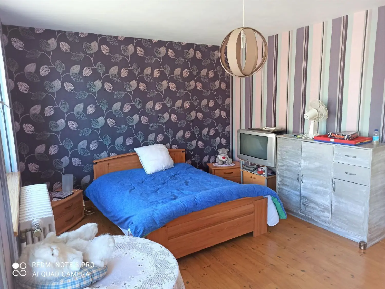  te koop huis Sainte-Sigolène Haute-Loire 4