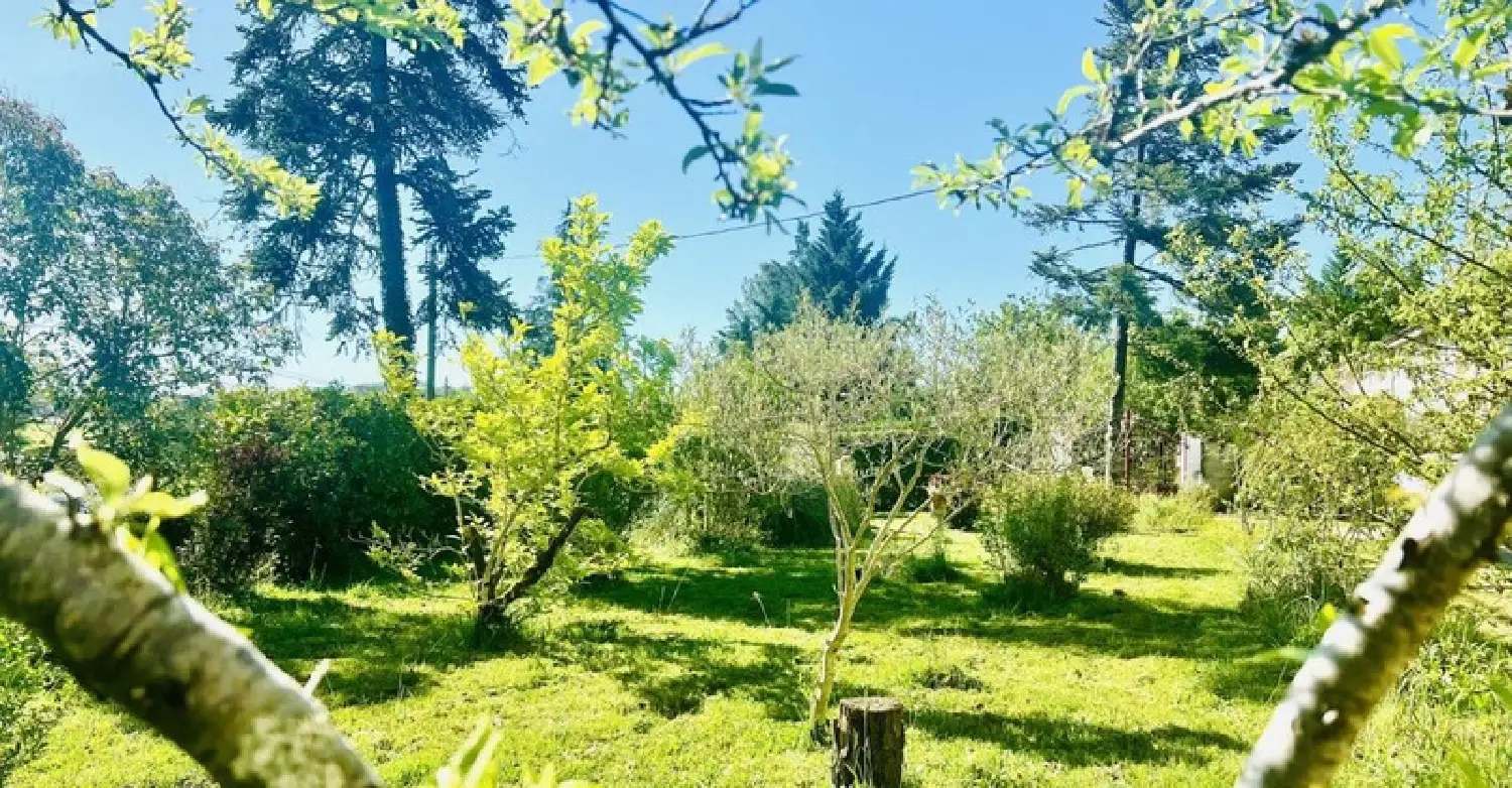  te koop huis Saliès Tarn 4