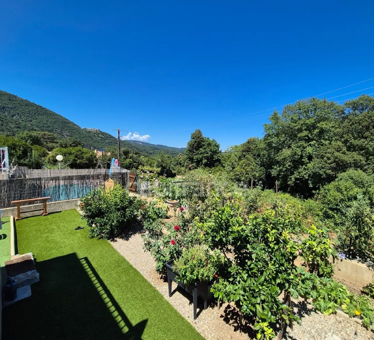  for sale house Santa-Maria-Poggio Haute-Corse 4