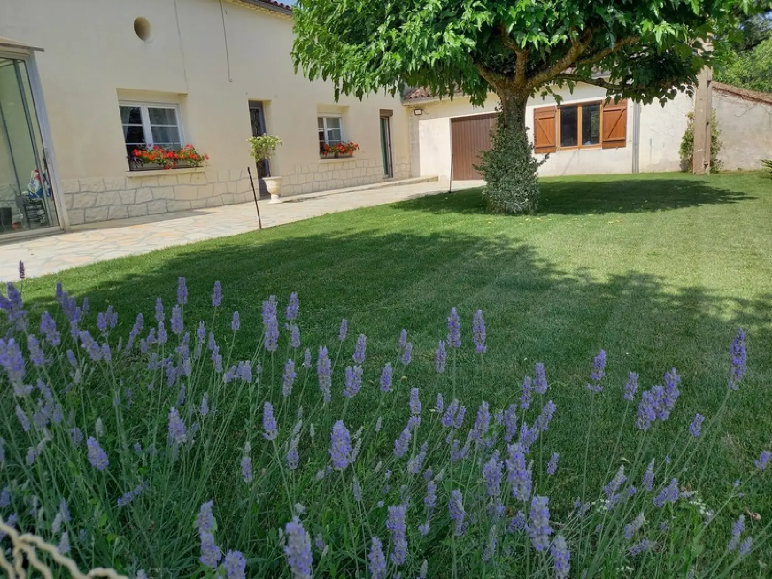  kaufen Haus Sauveterre-de-Guyenne Gironde 2