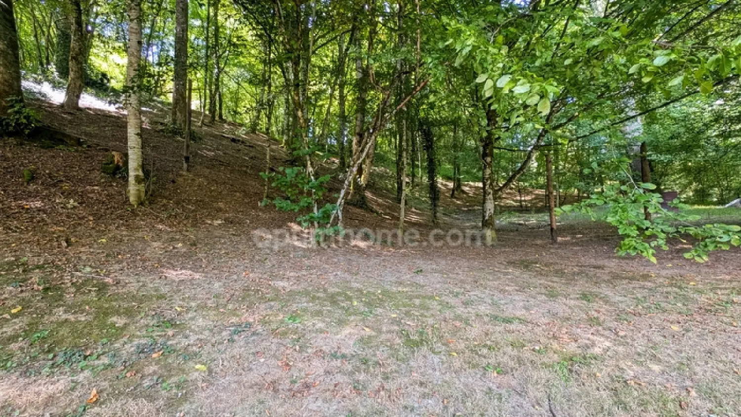  en venta casa Savignac-Lédrier Dordoña 5
