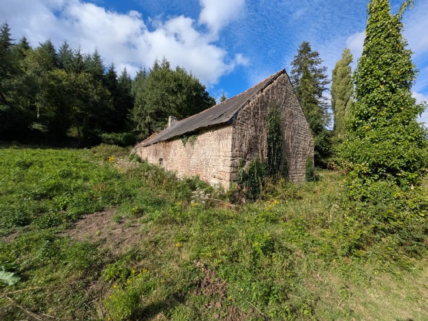  te koop huis Séglien Morbihan 8