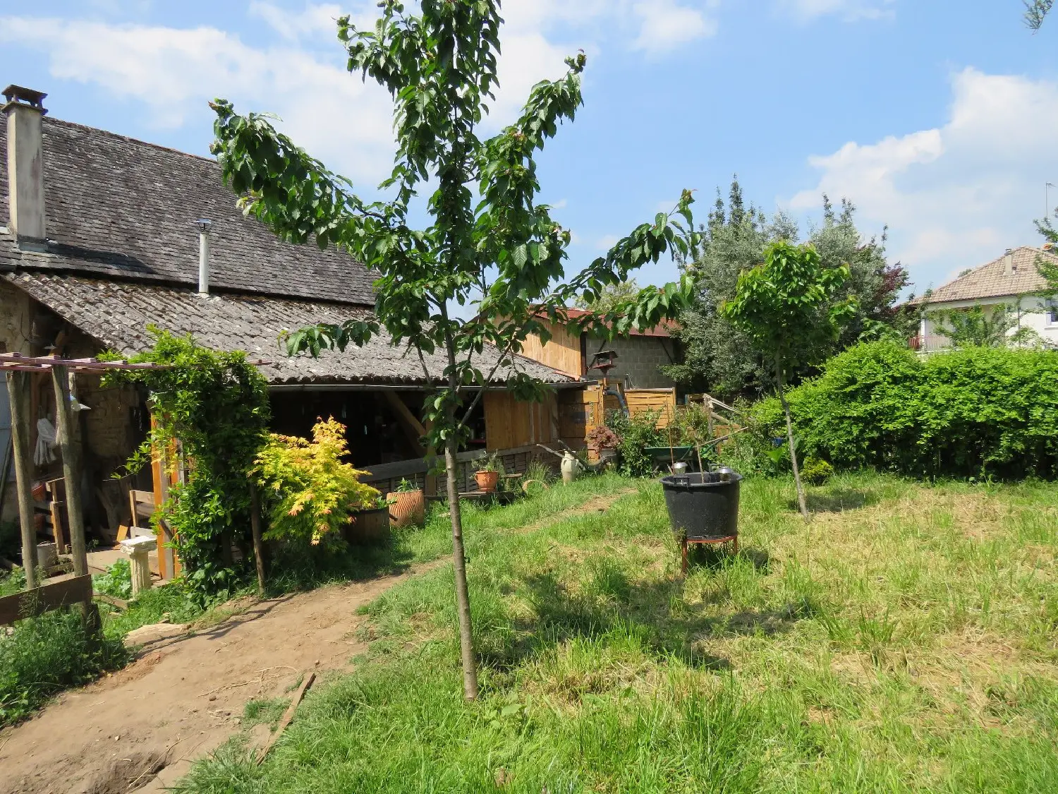  te koop huis Ségonzac Corrèze 4