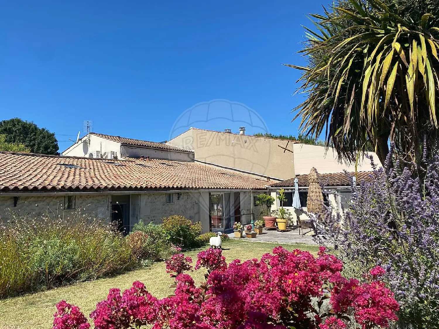  à vendre maison Sémussac Charente-Maritime 1