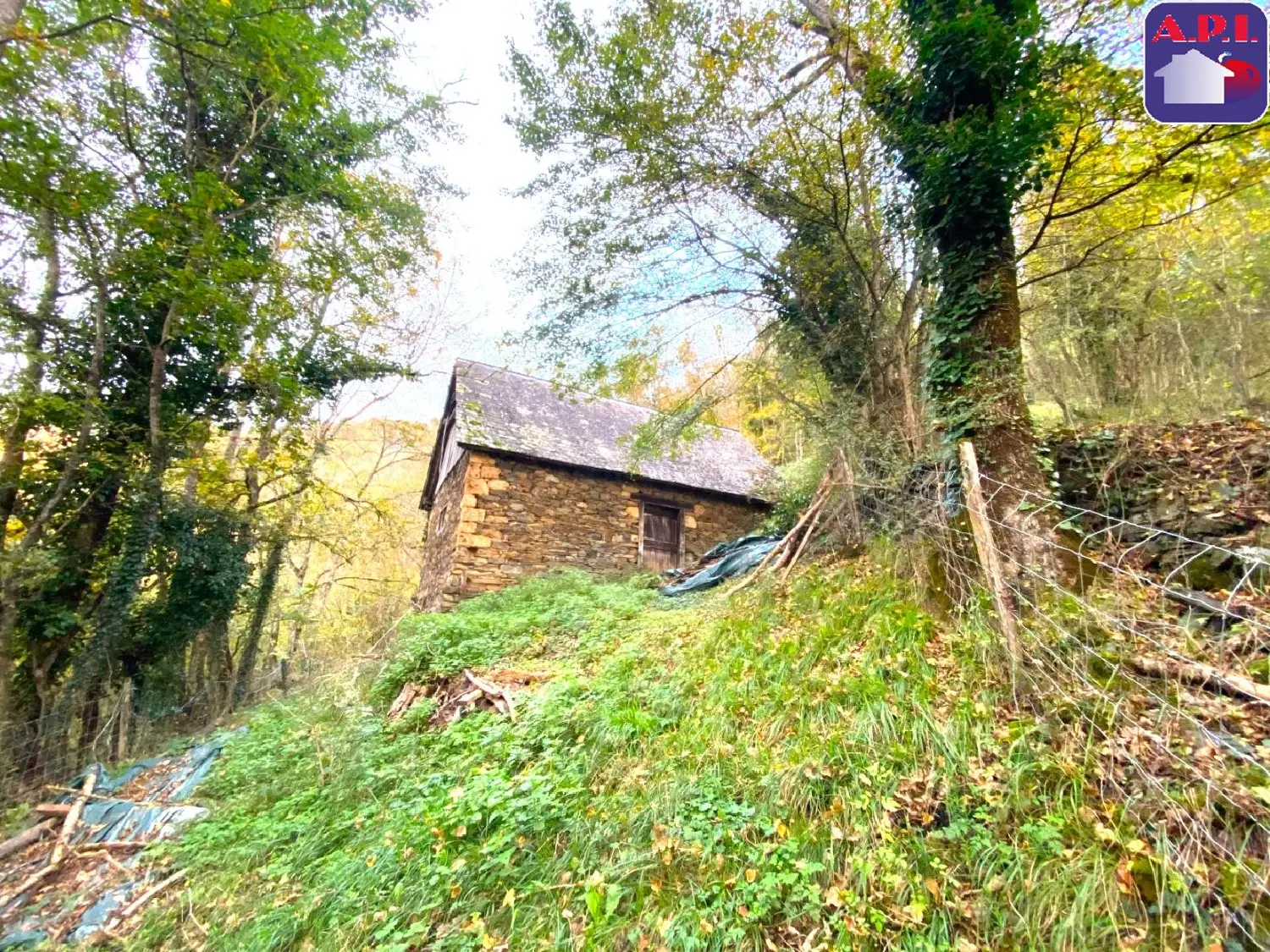  te koop huis Sentein Ariège 1