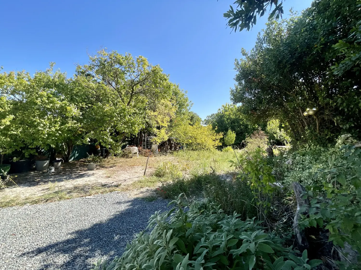 à vendre maison Talmont Charente-Maritime 2