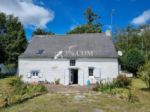 Théhillac Morbihan huis foto 7123641