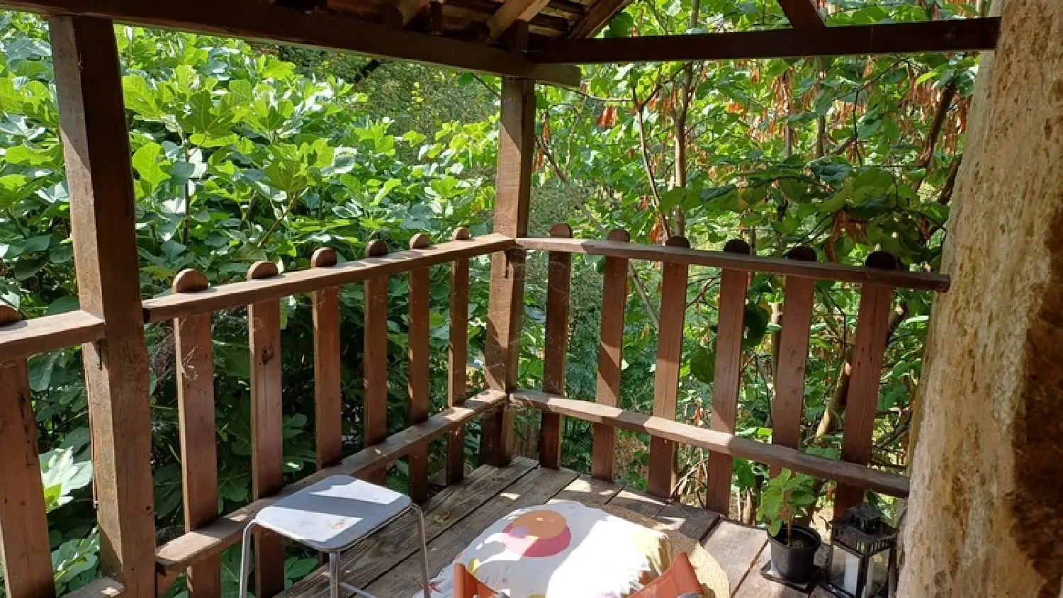  te koop huis Thenon Dordogne 2