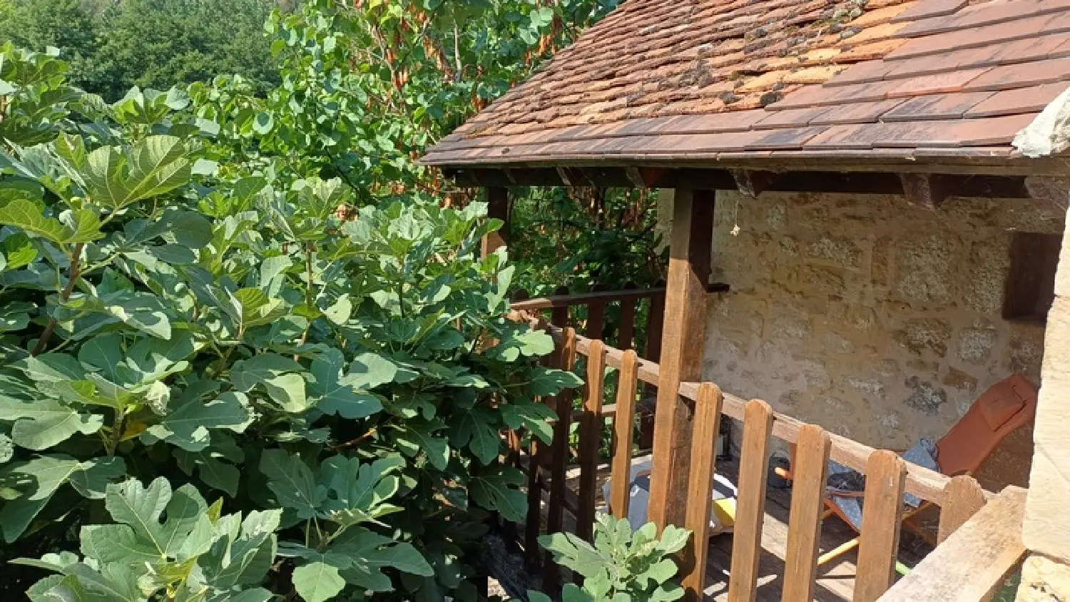  te koop huis Thenon Dordogne 3