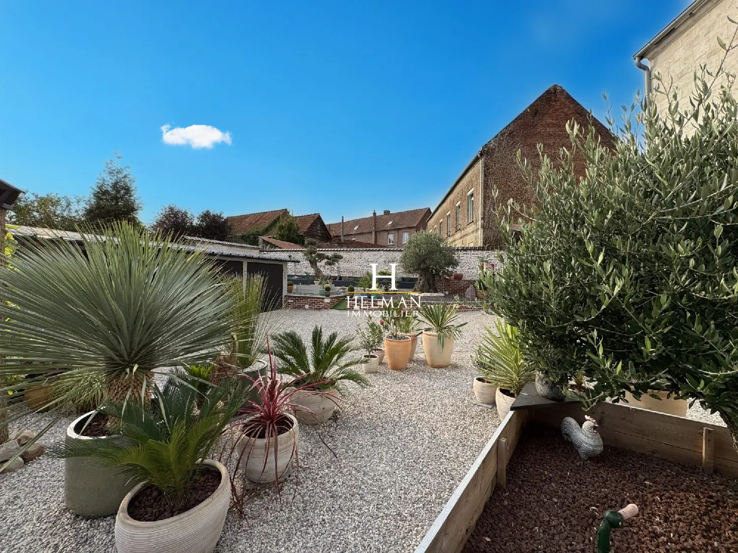  for sale house Thérouanne Pas-de-Calais 3