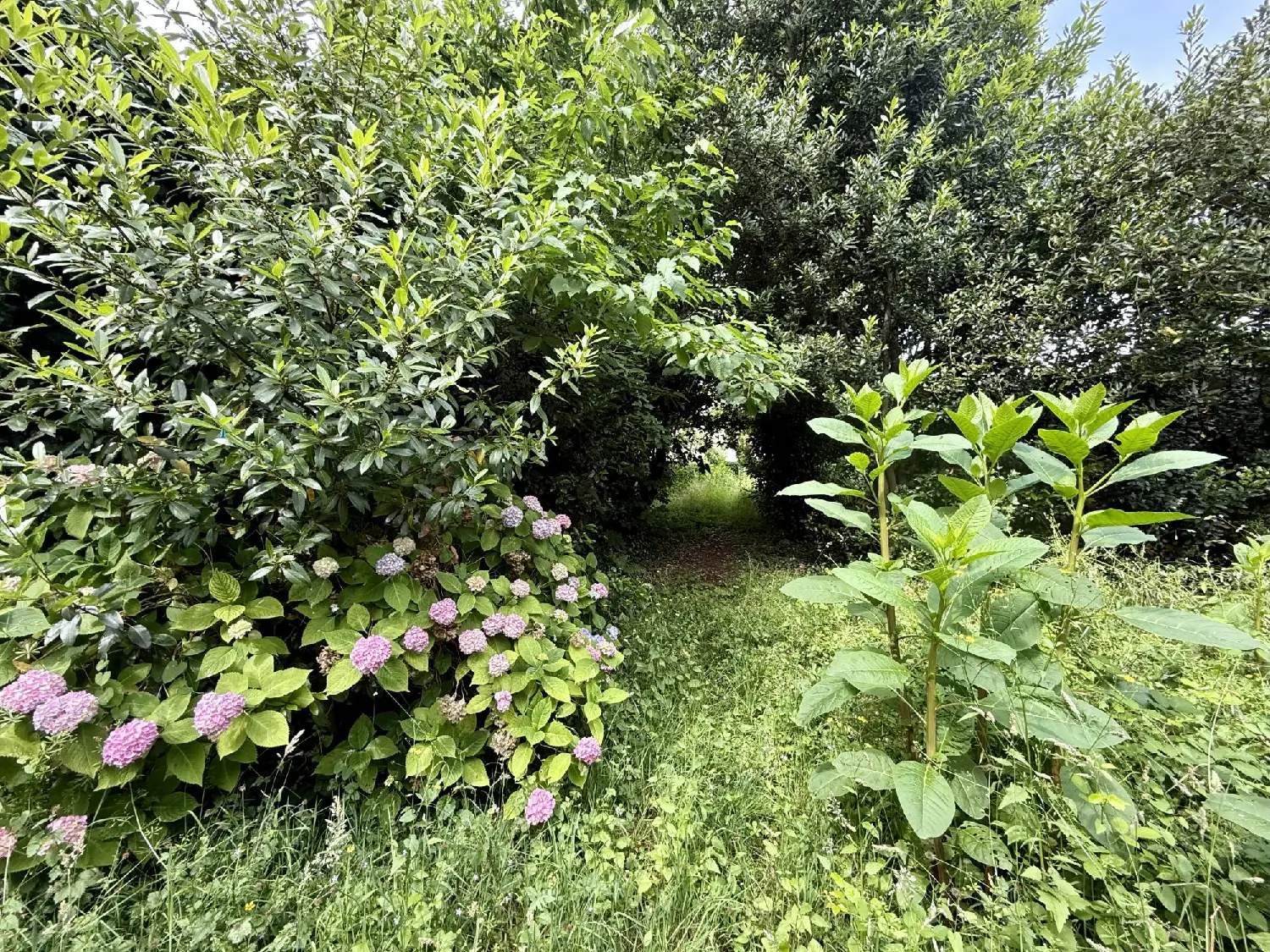  te koop huis Thiviers Dordogne 5