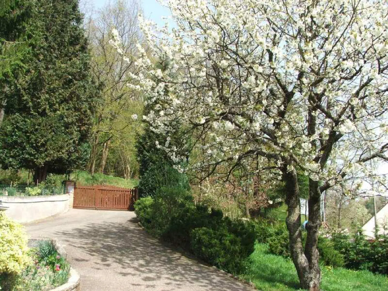  kaufen Haus Tieffenbach Bas-Rhin 6