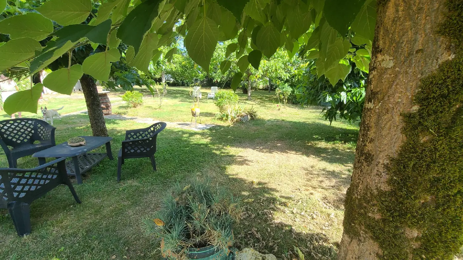  à vendre maison Touffailles Tarn-et-Garonne 1