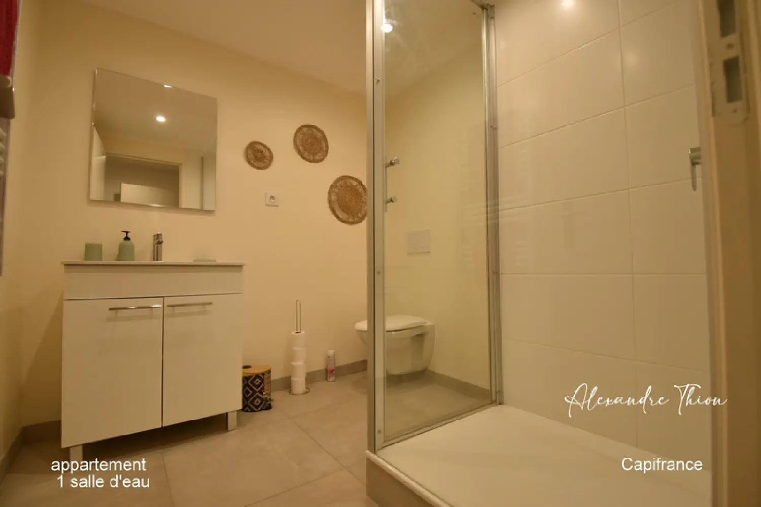  en venta casa Vertrieu Isère 5