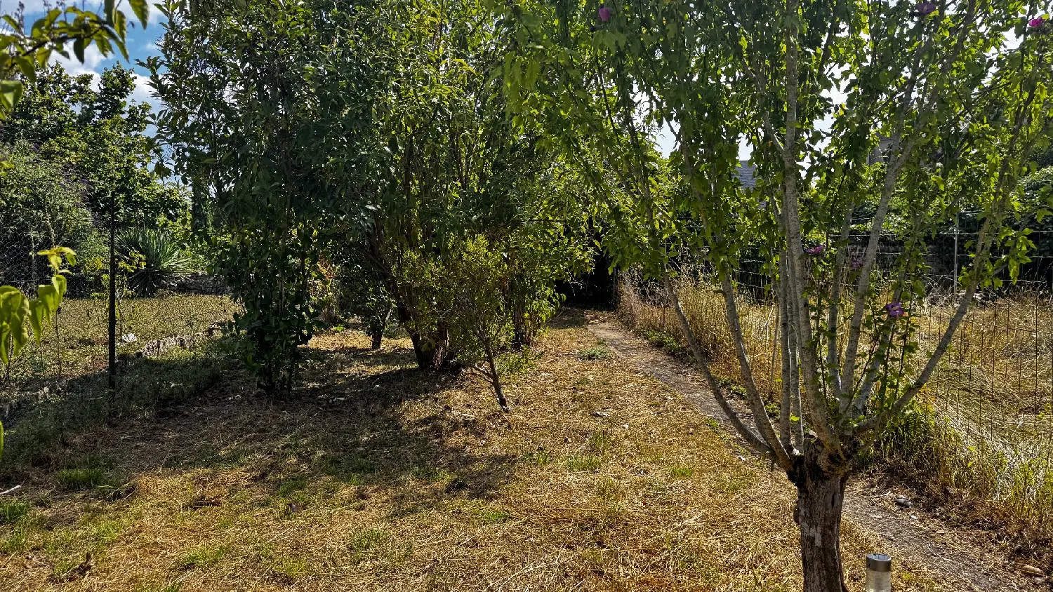  for sale house Vidaillac Lot 5
