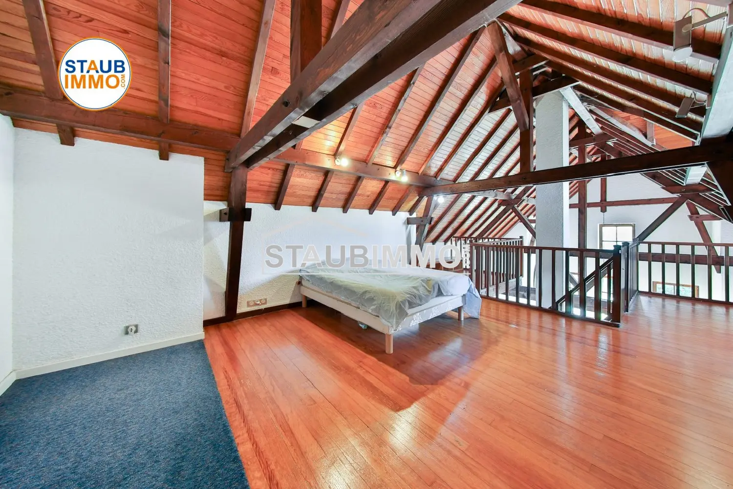  te koop huis Village-Neuf Haut-Rhin 8