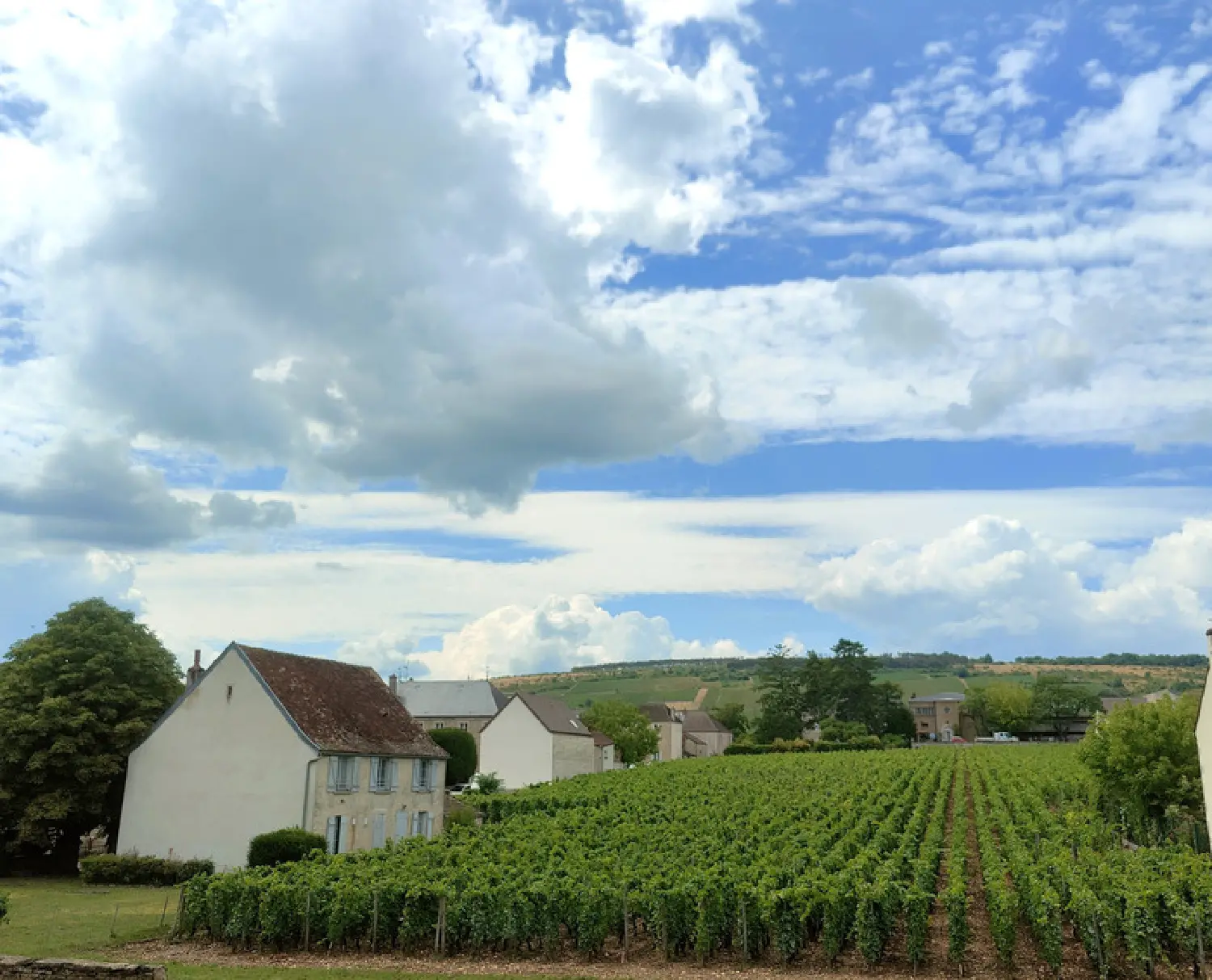  à vendre maison Vosne-Romanée Côte-d'Or 3