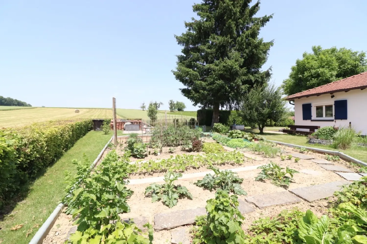  à vendre maison Wentzwiller Haut-Rhin 4