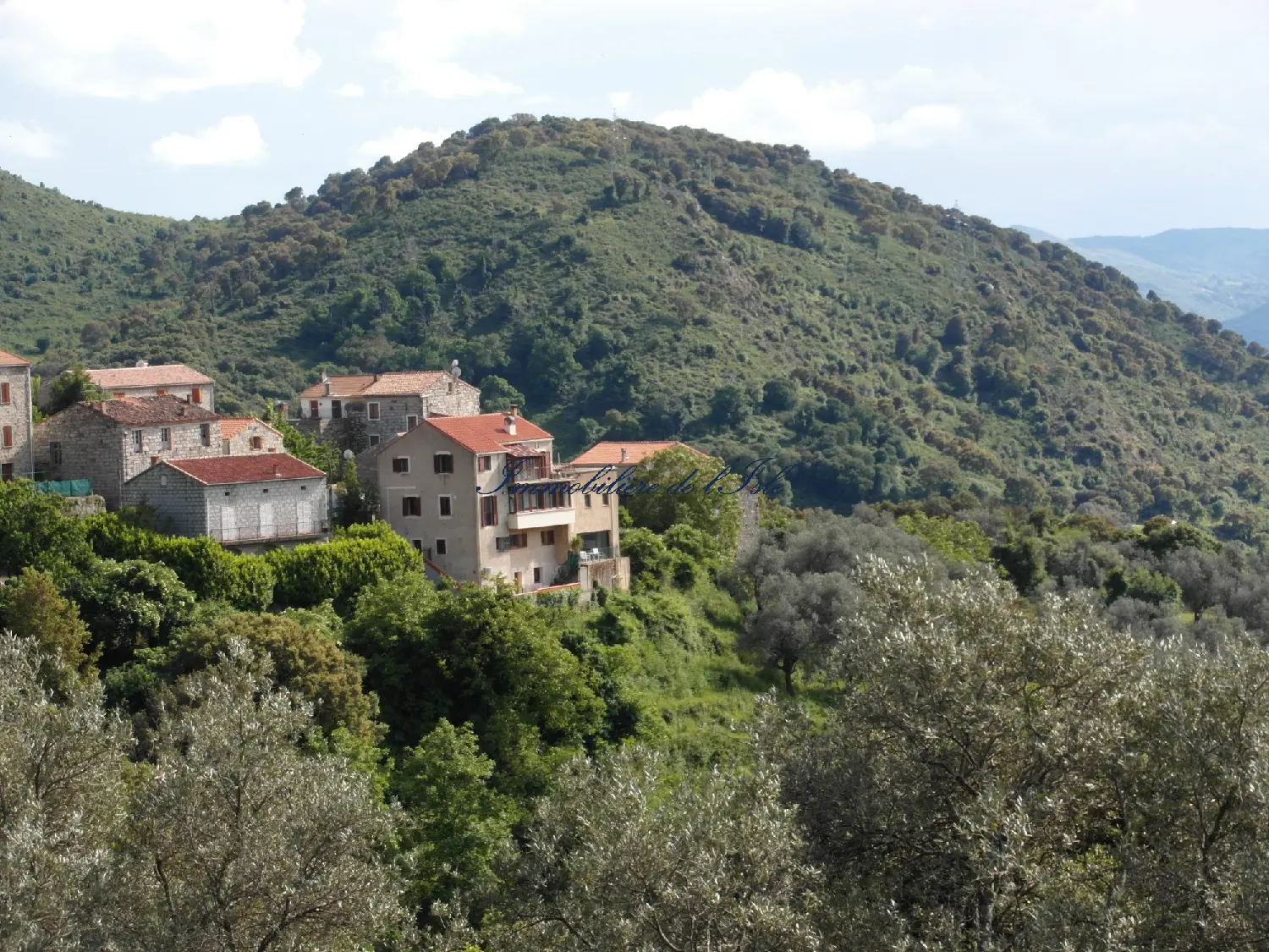  te koop huis Zoza Corse-du-Sud 3