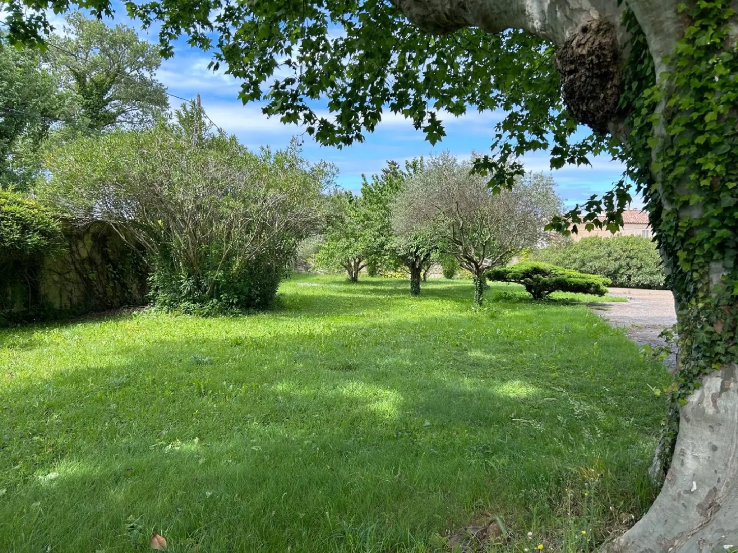  te koop herenhuis Monteux Vaucluse 3