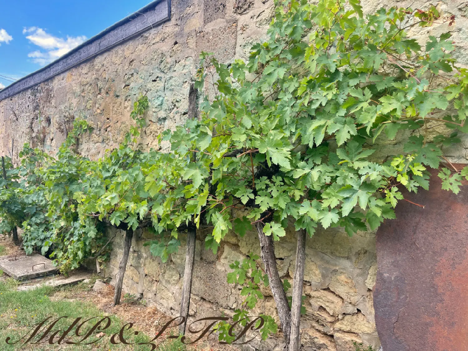  à vendre maison bourgeoise Saint-Magne-de-Castillon Gironde 6