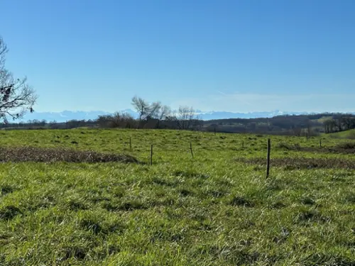 Aignan Gers terrain foto 7124504