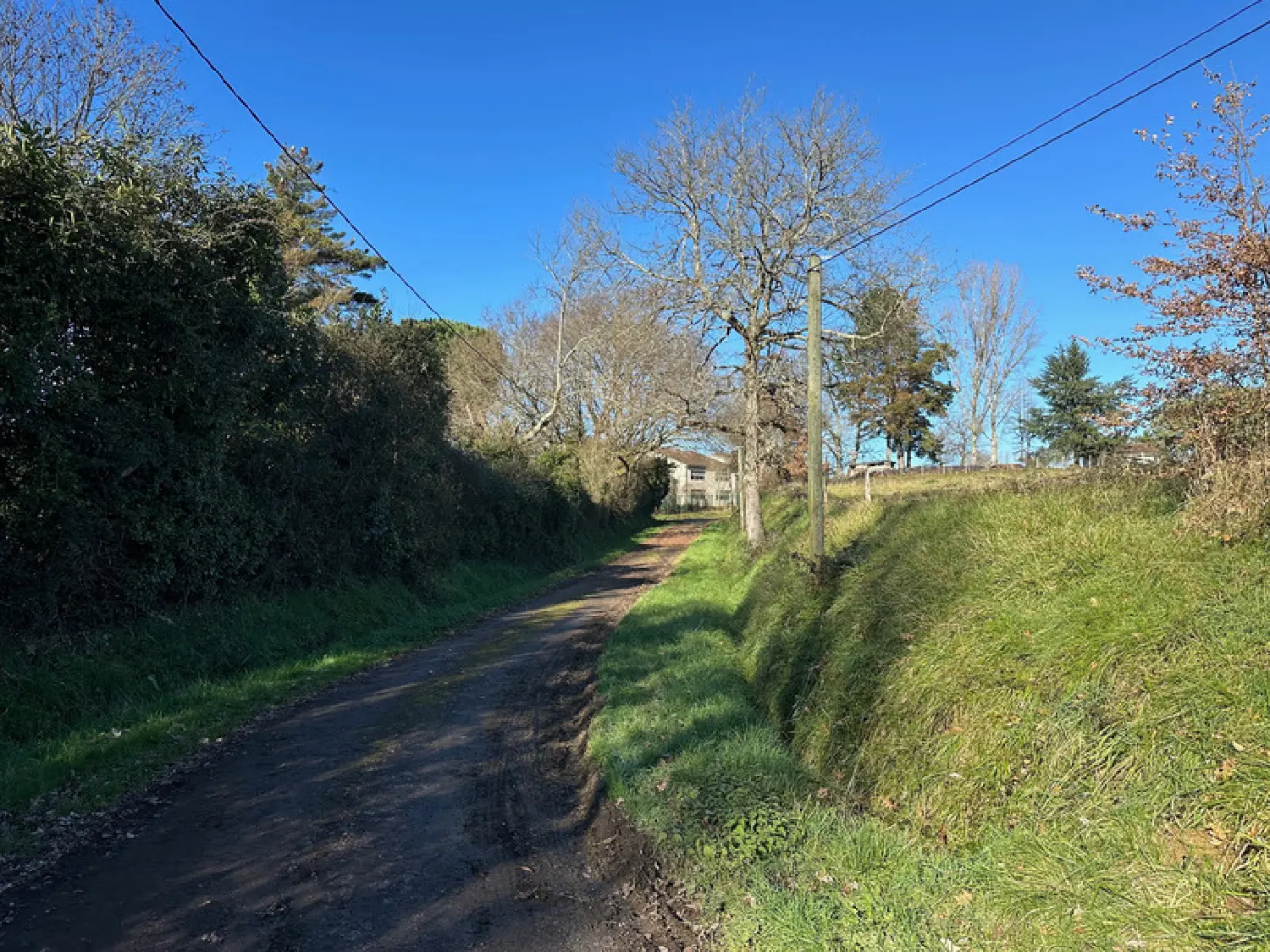  for sale terrain Aignan Gers 3