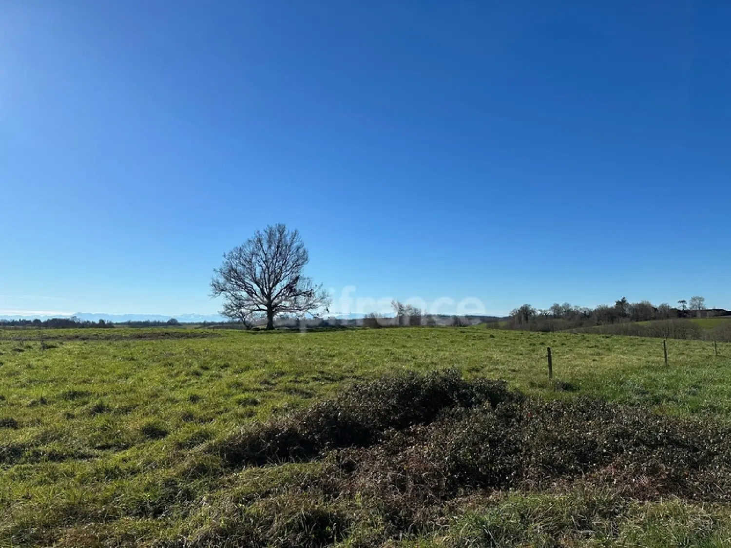  for sale terrain Aignan Gers 4