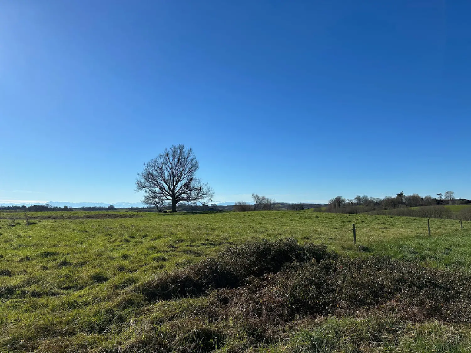  for sale terrain Aignan Gers 5