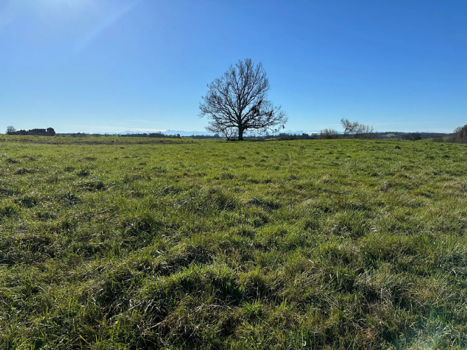  for sale terrain Aignan Gers 6