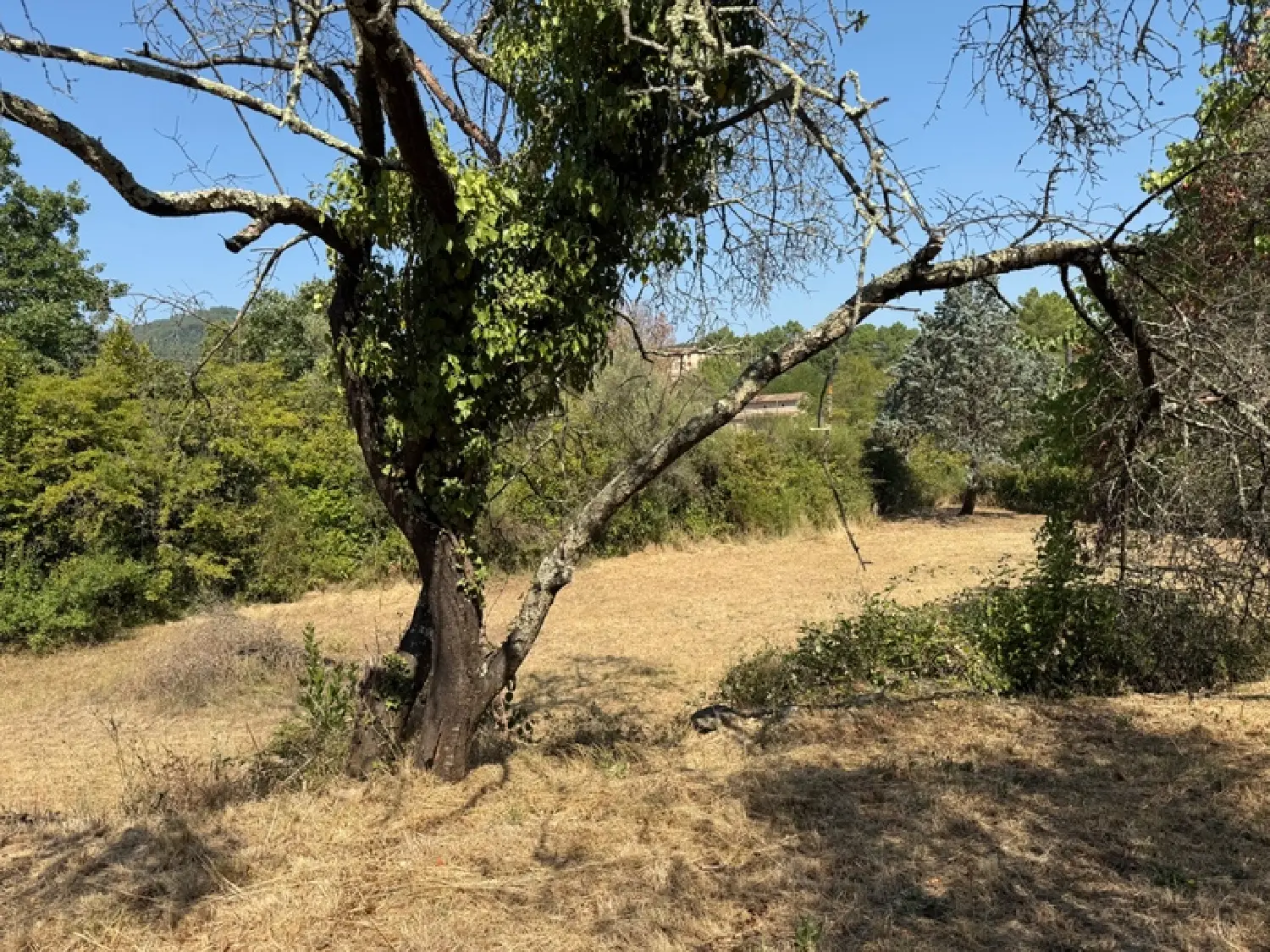  te koop terrein Alès Gard 3