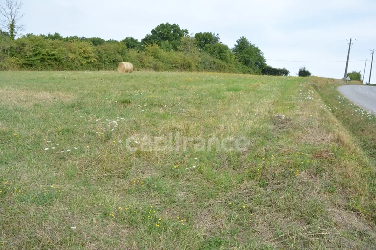  for sale terrain Alligny-Cosne Nièvre 1
