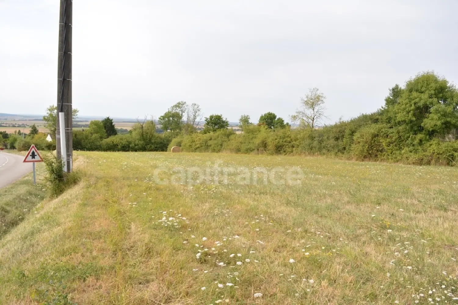  for sale terrain Alligny-Cosne Nièvre 2