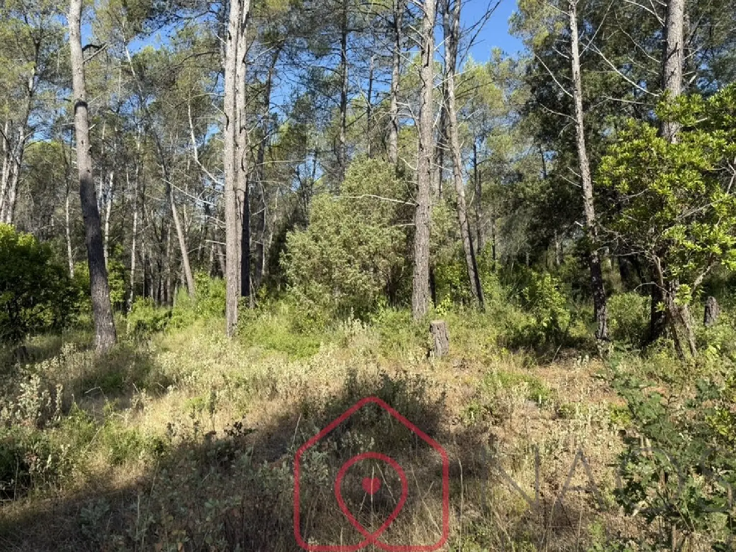 à vendre terrain Bagnols-en-Forêt Var 1