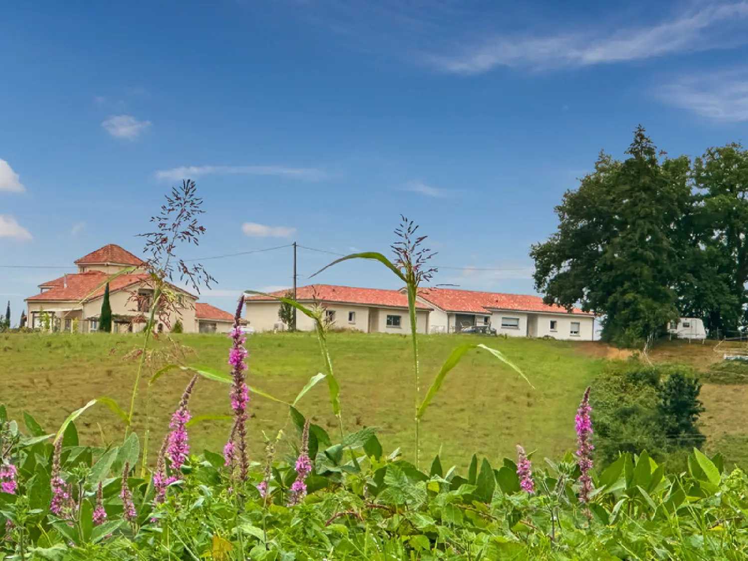  en venta terreno Bassoues Gers 1