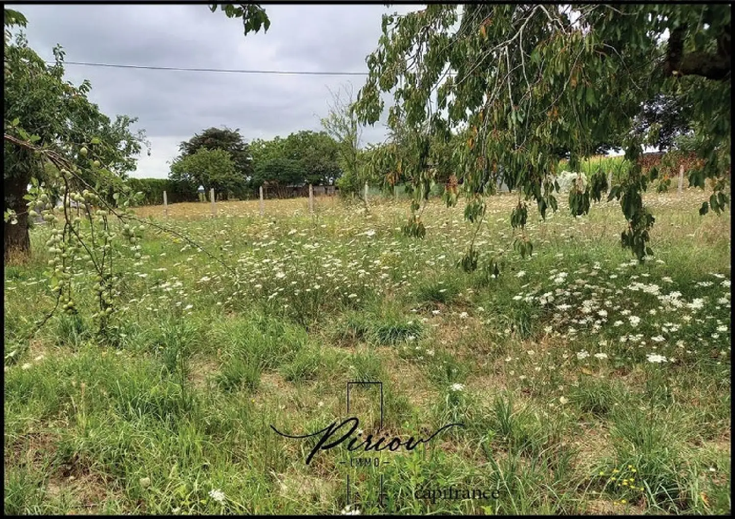  à vendre terrain Baugé-en-Anjou Maine-et-Loire 4